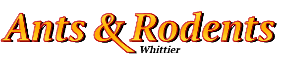 Whittier Ant Exterminator & Rodent Control Company Logo